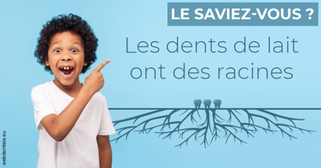 https://selarl-terre-de-sante.chirurgiens-dentistes.fr/Les dents de lait 2
