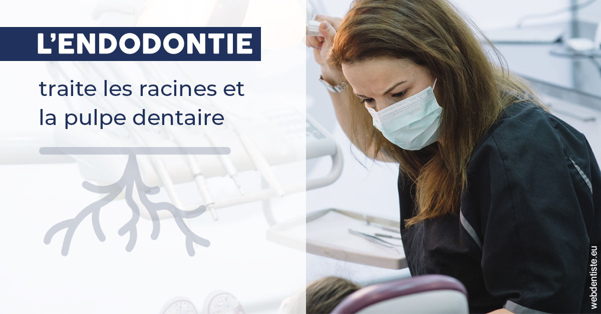 https://selarl-terre-de-sante.chirurgiens-dentistes.fr/L'endodontie 1