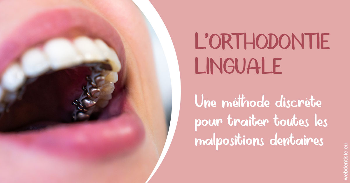 https://selarl-terre-de-sante.chirurgiens-dentistes.fr/L'orthodontie linguale 2
