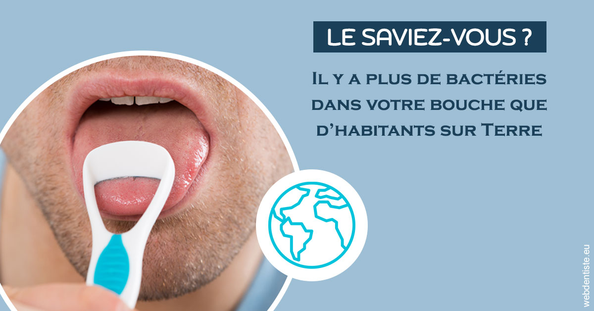 https://selarl-terre-de-sante.chirurgiens-dentistes.fr/Bactéries dans votre bouche 2